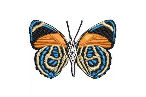 Callicore Butterfly Embroidery Design Review
