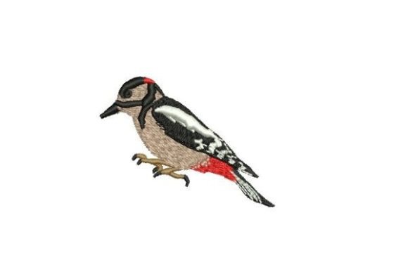 Great Spotted Woodpecker Embroidery Review